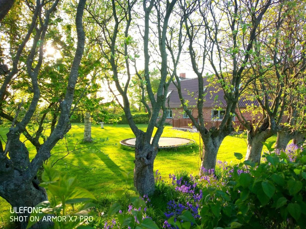 Lilleledgaard Country House Ringkobing Exterior photo